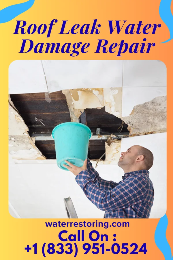 Roof Leak Water Damage Repair in Van Buren, IN
